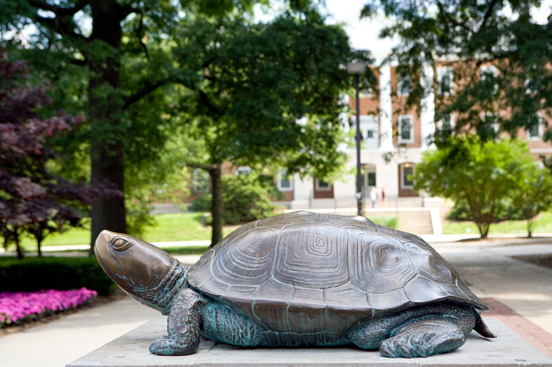 University Of Maryland Photo Collection | Iconic UMD | Testudo_05242012 ...