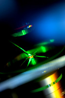 QuantumLab_WalsworthRonald_01312025_JC_9829_DAM